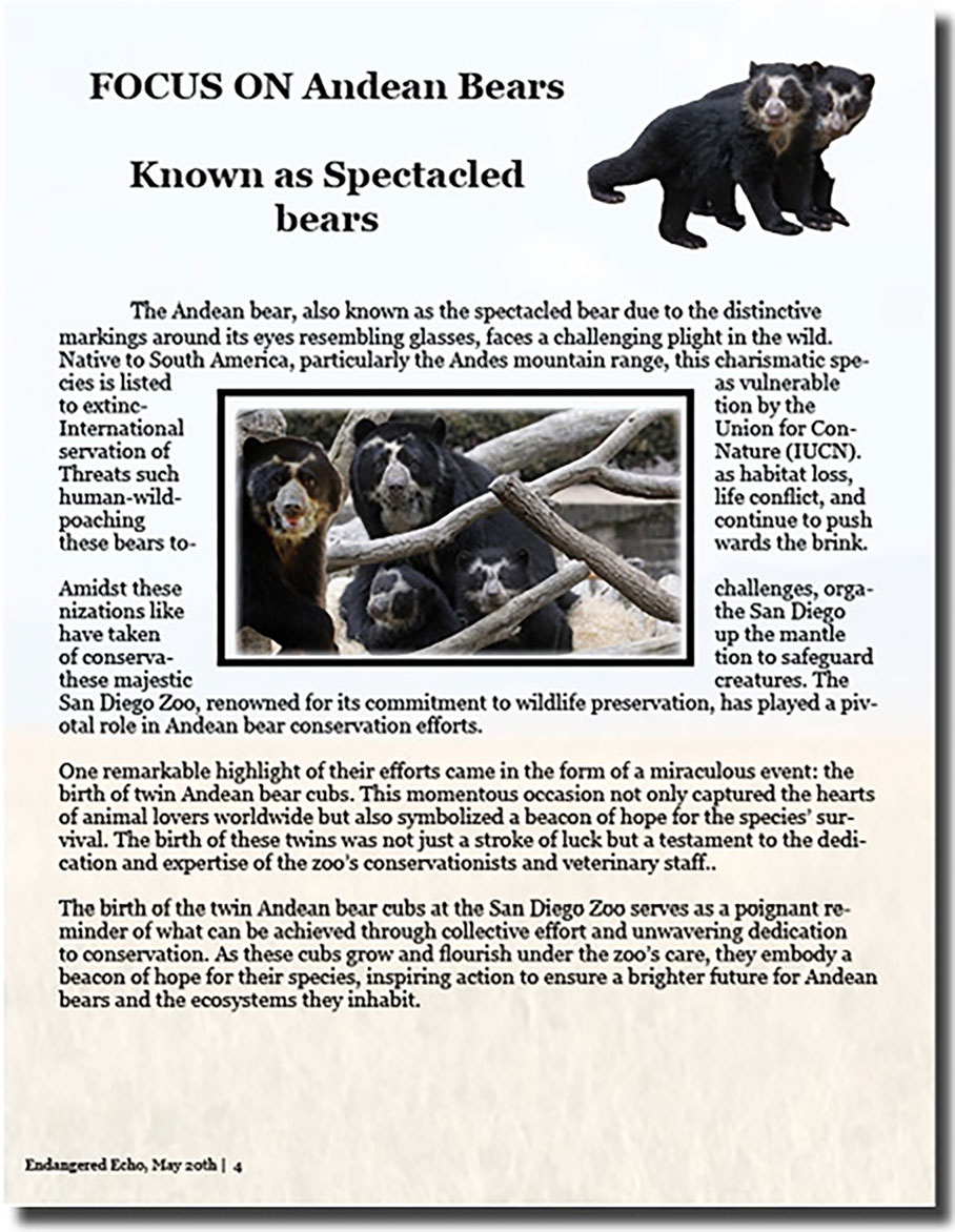 Magazine content on Focus on Andean Bears with photo